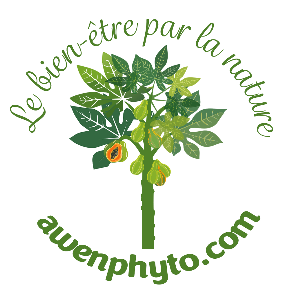 Logo du site du formulaire instantané