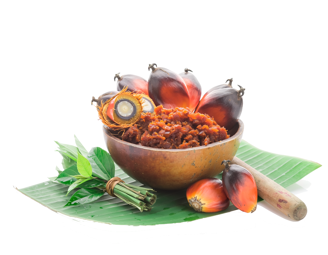 29 awenphyto by maelbanda.com